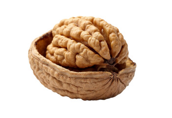 walnut isolated on white background