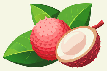 Wall Mural - Beautiful fruit lychee vector art illustration