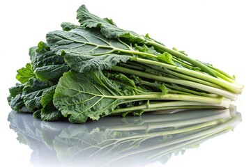 Chinese kale planted in pot isolated on white background