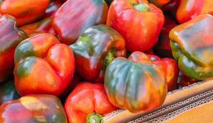 Wall Mural - Colorful of sweet bell peppers in the basket at the supermarket. Fresh vegetables on the market. A large pile of red sweet peppers on a market stall. Food background. Pepper collection concept.