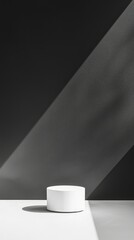 Poster - Minimalist Round Object on Black and White Backdrop