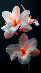 A delicate close-up of a blooming cattleya orchid in a spring garden, showcasing the beauty of nature with its bright petals .