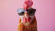 © capuchino009 - Chicken with Sunglasses Against Pink Background
