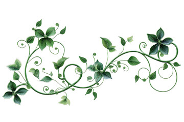 Wall Mural - Intricate green vine illustration with swirling leaves and tendrils, perfect for decorative and nature-themed projects.