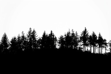 Canvas Print - A forest border silhouette outdoors.