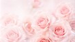 © Artfinity - light pink roses in soft color and blur style for background. sweet color roses flowers in pastel tone with blurred style for background pattern texture. sweet color flower petals in soft color