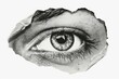 © Rawpixel.com - Eye through torn paper illustration