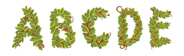 Poster - Green Leaf Alphabet Letter with Lush Foliage Vector Set