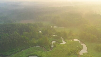 Wall Mural - aerial view of the river in the forest