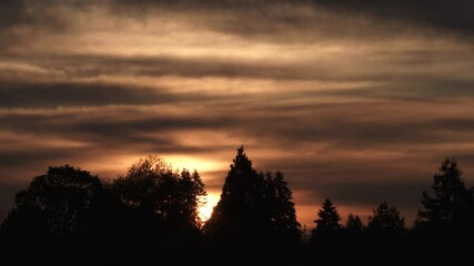 Wall Mural - Dawn to day sunrise time lapse with warm, colorful clouds passing over tree line as sun brightens up the morning sky.