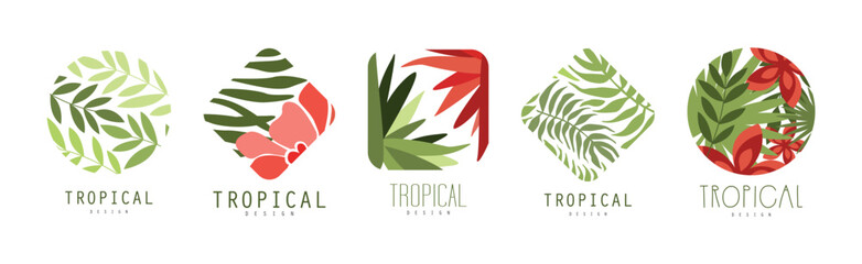 Poster - Tropical Design with Shape and Jungle Foliage Vector Set