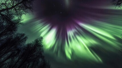 Wall Mural - Northern Lights Aurora Borealis Night Sky Green Purple Stars Trees