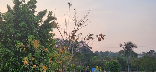 late afternoon in a park in front of the lake in Brazil