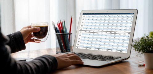 Poster - accounting software on computer screen showing financial statement spreadsheets and account balance 