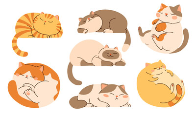 set of flat vector illustrations in children's style. cute sleeping cats on white background . vecto