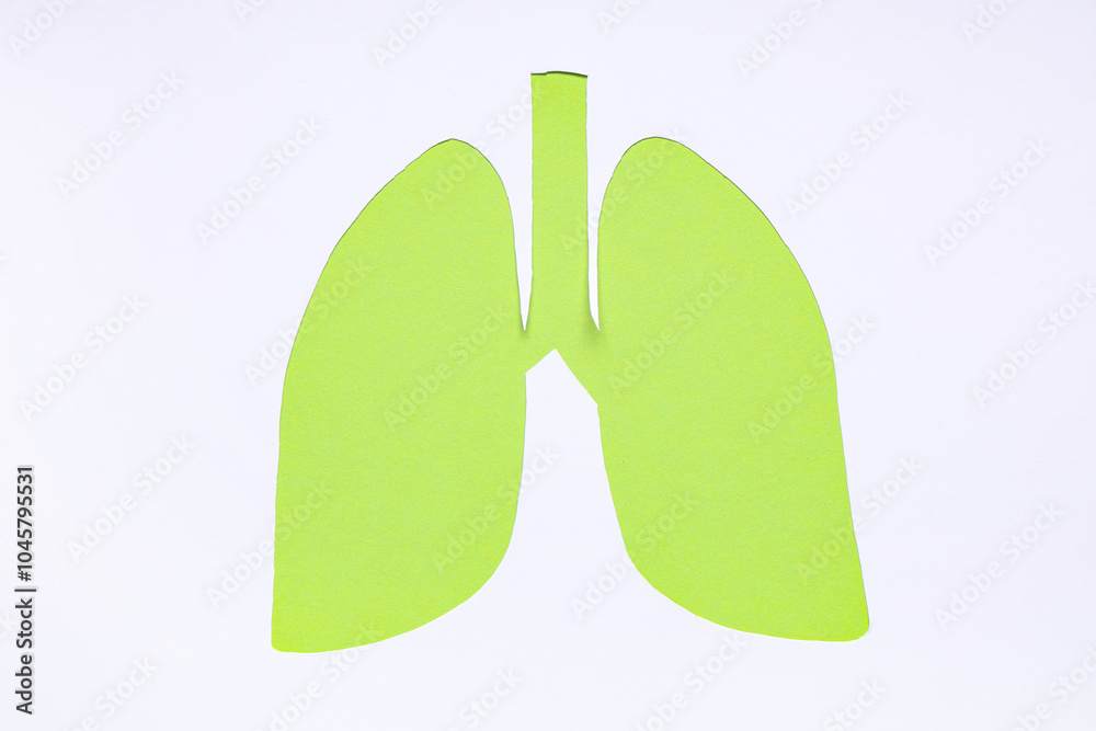 Green paper lungs on white background