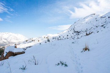 snow and winter for the arabs, snowfall in jijel state, algeria, the maghreb, snow in the arab count