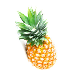 pineapple on white background