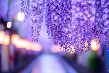 Canvas Print - A serene pathway adorned with cascading purple wisteria flowers.