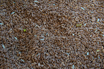 grain uncooked healthy background asian cereal food agriculture raw organic ingredient rice