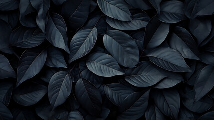 Poster - Closeup tropical black leaves texture and dark tone process abstract nature pattern background