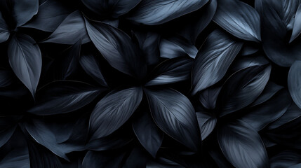 Poster - Textures of abstract black leaves for tropical leaf background Flat lay dark nature concept tropical leaf digital ai