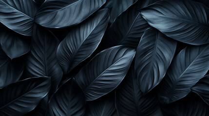 Poster - Textures of abstract black leaves for tropical leaf background Flat lay dark nature concept tropical leaf digital ai