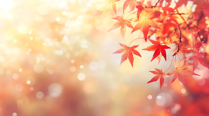 Aufkleber - web banner design for autumn season and end year activity with red and yellow maple leaves with soft focus light and bokeh background