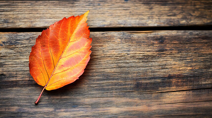 Aufkleber - autumn leaf isolated on a wooden table