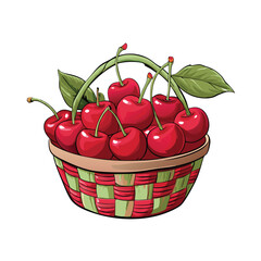 Cherry fruit vector illustration Isolated white background.