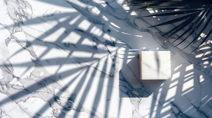 Wall Mural - Minimalist product showcase on marble stone with palm leaves shadow, raw photo