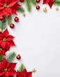 © Spling - christmas frame with poinsettia