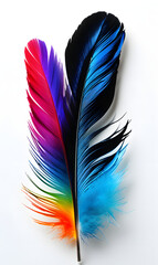 feather
