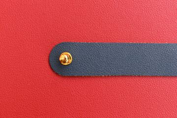 Wall Mural - shiny red leather background with dark blue strap