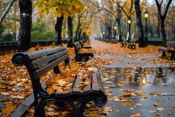 Poster - A serene urban park features pathways blanketed with fallen leaves, and benches inviting visitors to enjoy a tranquil moment in nature. Generative AI