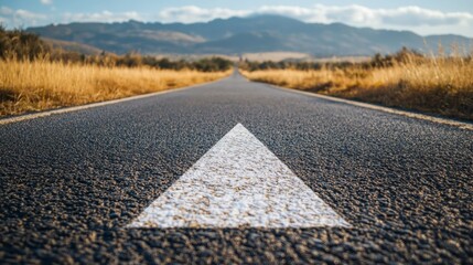 Poster - A detailed roadmap to success outlining the steps and strategies necessary for achieving business goals
