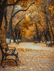 Poster - A tranquil urban park features pathways covered in vibrant fallen leaves, with benches scattered for leisurely relaxation amid nature's beauty. Generative AI