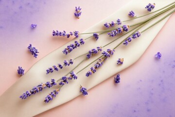 Aufkleber - Minimalist Floral Art with Lavender on Pastel Background for Tranquil Decor