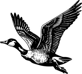 black and white illustration of a goose with wings spread.