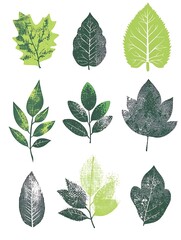 Poster - Nine green leaves in a variety of shapes and sizes, with a grunge effect.