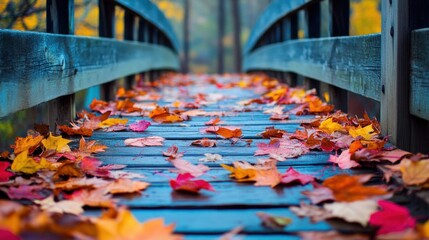 Poster - Colorful leaves on a wooden bridge