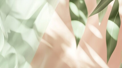 Poster - Eucalyptus branches with fresh green leaves are casting blurred shadows on a pink and green background creating a fresh summer feeling