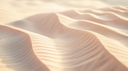 Poster - Soft sunlight illuminating smooth sand dunes, creating beautiful textures rippling in the wind, casting wavy shadows and highlighting abstract patterns