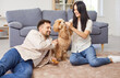 © Studio Romantic - Portrait of a happy smiling young couple playing with little cute dog sitting on floor in the living room at home. Man and woman relaxing indoors with their pet. Friendship and animal concept.