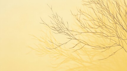 Poster - Serene nature: leafless branches silhouetted against a pale yellow background for tranquil design.