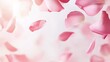 © ArpPSIqee - Photo of, Pink background with soft gradient and floating rose petals for design, banner template