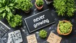 © hamzahalderad - A flat lay of a chalkboard with the word never growing written on it, surrounded by potted plants