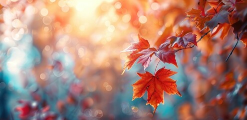 Autumn leaves in vibrant colors, perfect for seasonal themes Captured with a blurred background, showcasing orange and red tones Nature s beauty in every detail