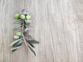 Natural fresh green olives on a branch with leaves on a wooden background