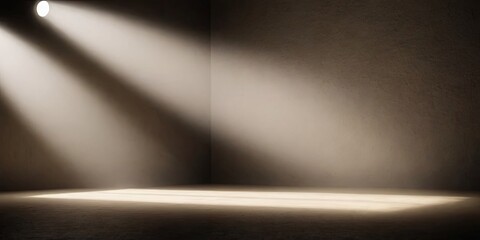 Poster - A room with a spotlight shining on it